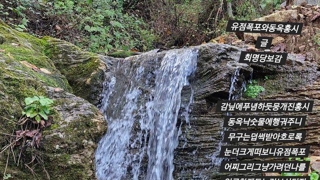 [보감과의 동행148]   유점폭포와동옥홍시