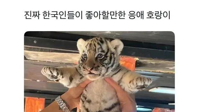 한국인이 좋아할만한 응애.,,