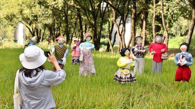 올 가을 첫 서리가…심상치 않은 다음주 '날씨 소식' 전해졌다