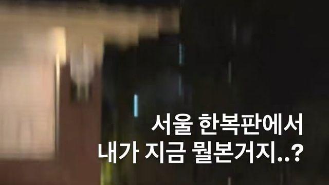 서울 들개 릴스에 올라온 인스타 댓글들