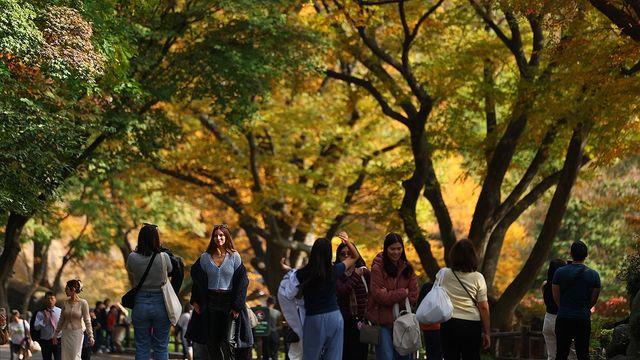 [내주날씨] 기온 떨어져 쌀쌀…바람 불며 체감온도 '뚝'