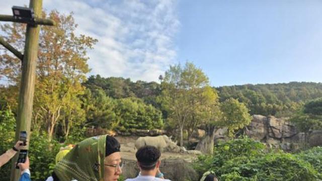 [현장]“코끼리, 코뿔소보며 달려요”에버랜드 갤럭시 워치런 가보니