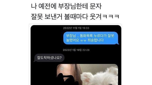 술 기운에 부장님께 문자 보냈다