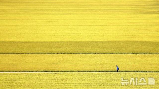대구·경북, 흐리고 기온 '뚝'…아침 최저 7도·낮 최고 18도