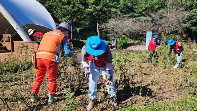 시흥시 옥구공원, 정원사의 손길로 ‘활짝’ 피어나다