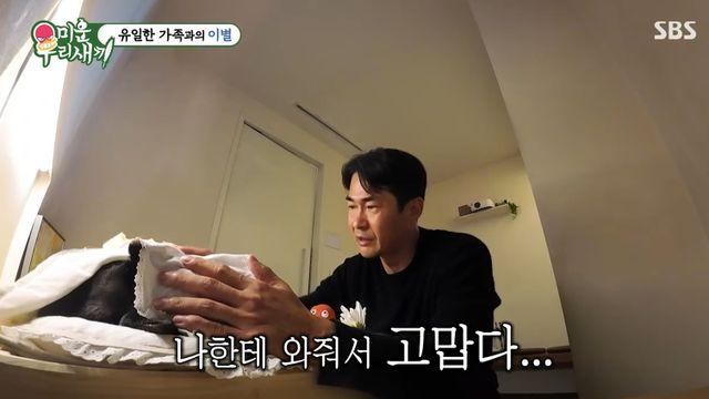 서장훈도 울었다…배정남, 반려견 떠나보낸 후 
