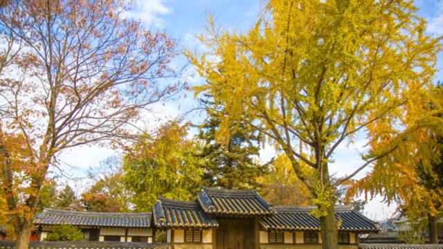 고즈넉한 기와지붕 아래에서 만나는 미식의 향연, 전주 한옥마을 기행