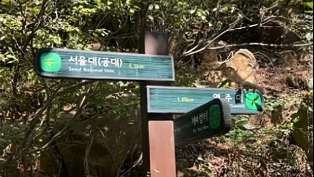 난데 없이 인기라는 한국등산.jpg