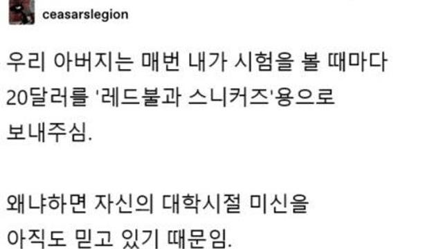 시험 볼때마다 레드불과 스니커즈 먹으라고 돈 보내는 아빠