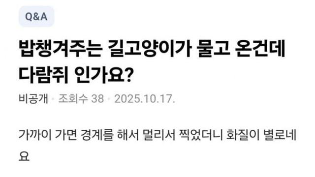 길천사가 잡아온 쥐인데 이거 뭔가요??