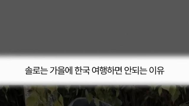 솔로는 가을에 한국 여행하면 안되는 이유.jpg
