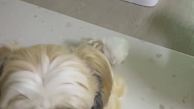 빵 무떠워,