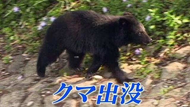 곰에 다리 물렸지만 살아남은 日 남성…