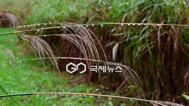 [오늘날씨] 오후부터 맑고 강풍에 기온 뚝...서울 낮 19도-대구 20도 '쌀쌀'