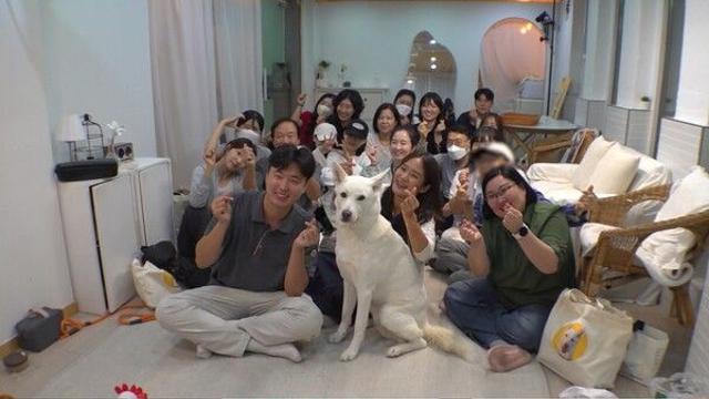 잘생긴 진돗개 ‘풍이’, 셀럽견의 반전 일상('TV 동물농장')