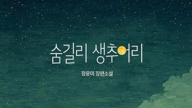 [신간] 『숨길리 생추어리』