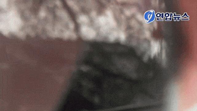 '8시 전 문전박대' 아니다?…당사자 
