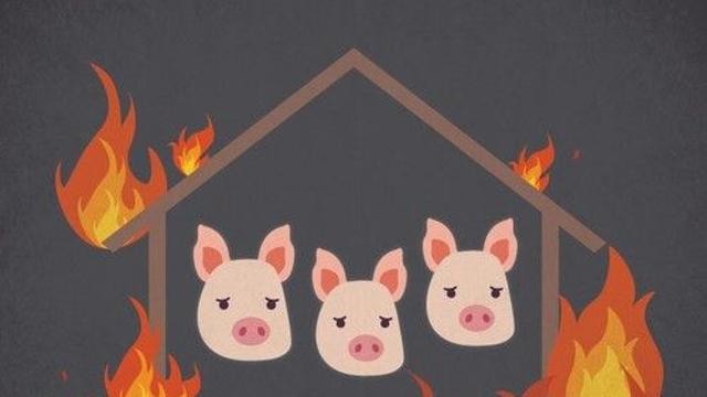 해남 돈사서 화재, 돼지 1335마리 폐사…6억대 재산피해