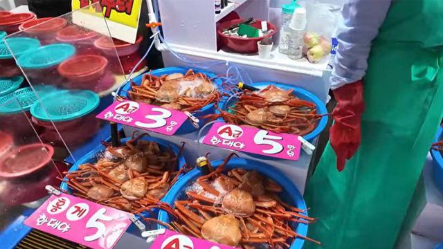 한 마리에 1500원... 요즘 가격 대폭락했다는 주문진 대표 해산물