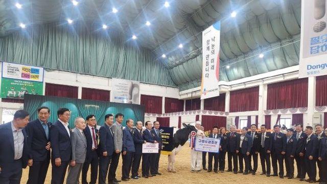 경기도 `제24회 2025 한국홀스타인품평회`서 그랜드·준그랜드챔피언 석권