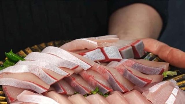 '겨울 생선의 제왕'인데... 벌써부터 쏟아진다는 한국인 국민 생선회