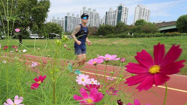 광주·전남 올가을 들어 기온 가장 낮아…화순 8도