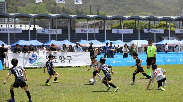 ‘축구 꿈나무들 모인다’ 2025 힐링 양구 사과컵 전국 유소년 축구클럽 페스티벌 개막