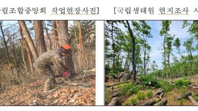 미세먼지 저감 숲가꾸기 사업 도심 아닌 농촌 · 산지에 80% 이상 집중