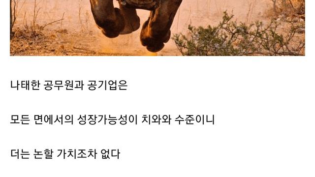 중갤러의 인생을 관통하는 명언 