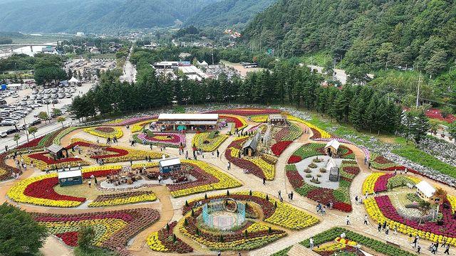 '꽃길만 걷자' 인제 가을꽃축제 30만명 매료…지역경제도 활짝