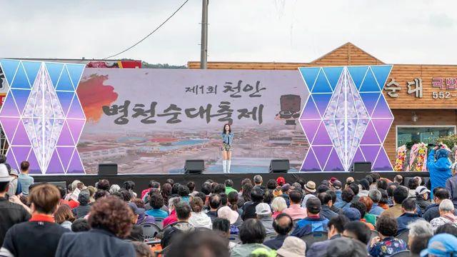 결국 병천 순대 축제도 다녀왔음