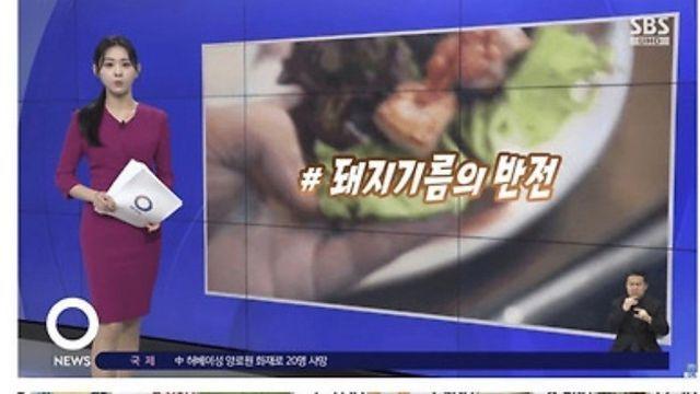 돼지기름 