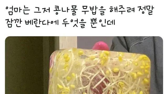 곧 마주할 날씨,,