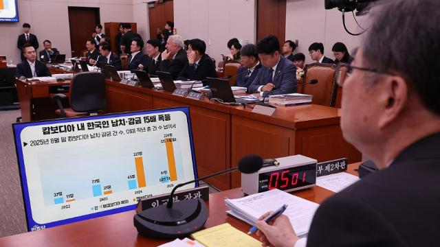 캄보디아 등 해외공관서 오늘 국감…한국인 범죄피해 현안도