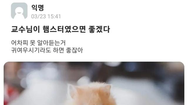 교수님이 햄스터였으면 좋겠다