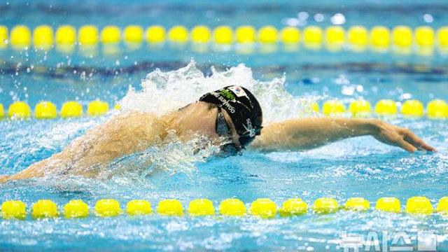 황선우, 전국체전 3관왕 등극…김서영은 개인혼영 200m 10연패(종합)