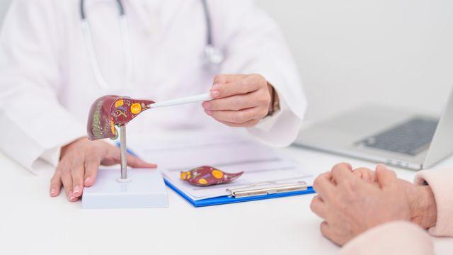 [간의 날] 경고음 없는 ‘침묵의 장기’, 당신의 ‘간’은 안녕하십니까?