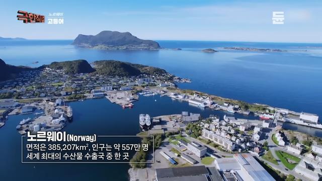 군침군침 노르웨이 고등어 공장