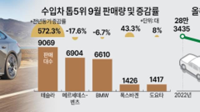 [인더스트리 리포트] 수입車 내수 불황도 끝났다...테슬라·BYD 파워