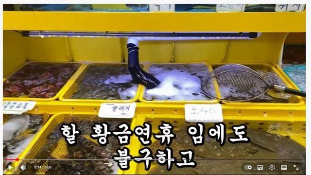 바가지 논란으로 개같이 몰락해버린 속초 대포항