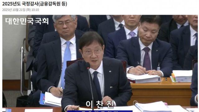 국감 데뷔 이찬진 금감원장, 금융소비자 보호 중점…강남 2주택 등에 '진땀'(종합) [2025 국감]