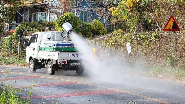 광주 기러기 농장서 H5형 조류인플루엔자 항원 검출