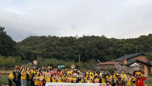 양주시 가족봉사단 연합, 고구마 수확