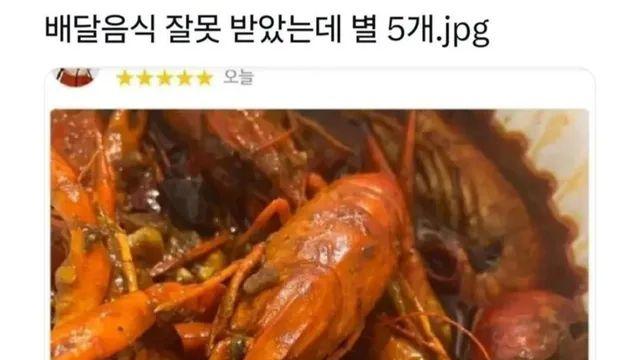 배달음식 잘 못 왔는데 별 5개줌