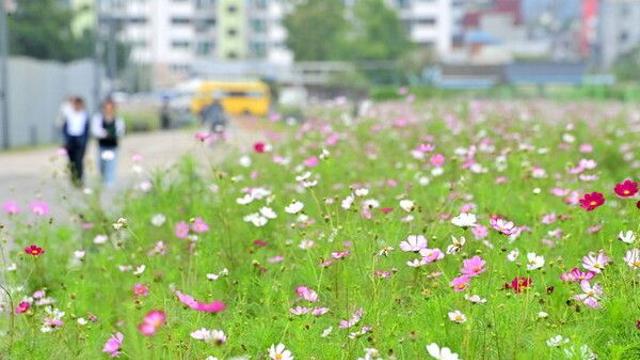 전북 낮 18~22도 오후부터 구름…찬 바람에 체감온도↓