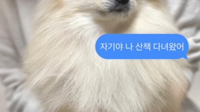 골반이 안 멈춰지는데 어떡해....????