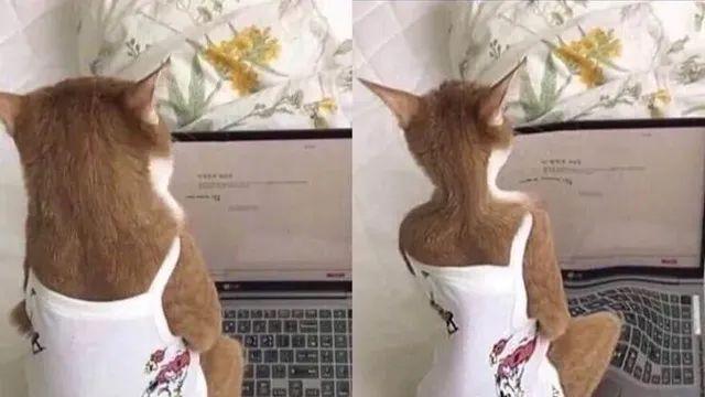 싱글벙글 보정어플이 사기인 이유..jpg,,