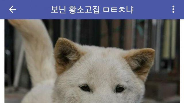 단식투쟁 레전드....jpg