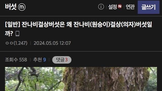 잔나비걸상버섯