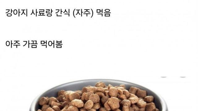 강아지 키우는 사람이 해본 일